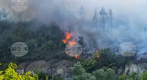 Снимка: БТА