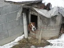 Изверг запали бездомно куче в Бургас Изверг запали бездомно куче в Бургас