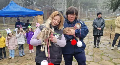 Снимка: БТА Снимка: БТА