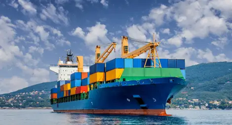 Как изведнъж се оказа, че навсякъде по света липсват всякакви продукти