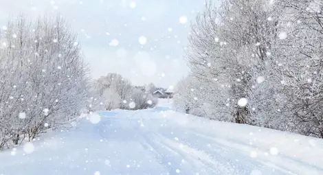 Синоптици обявиха кога спират снеговалежите и ще се затопли Синоптици обявиха кога спират снеговалежите и ще се затопли