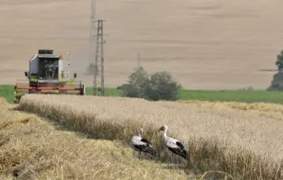 Само чужденци с чисти пари и 3 години престой у нас ще купуват земи