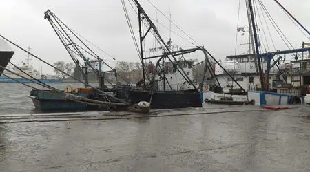 Рибарската програма финансира ремонт на читалище и фестивал