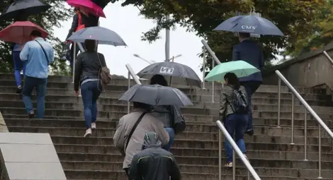 Жълт код за валежи и гръмотевици, има опасност и от градушки