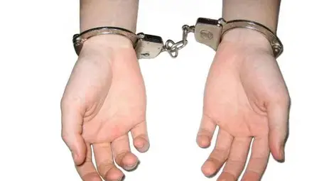 Красивите жени по-често извършват престъпления