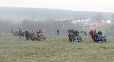 Тодоровден &ndash; Тудорица в Ценово: тропот на копита, жив дух и традиция, която препуска напред