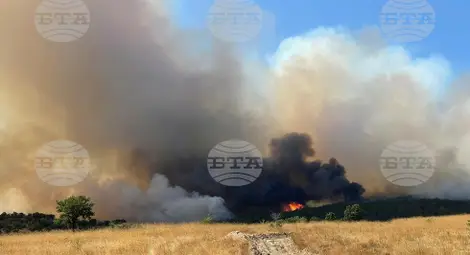 Снимка: БТА