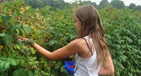 5100 българи ще останат без работа при &bdquo;твърд&rdquo; Brexit