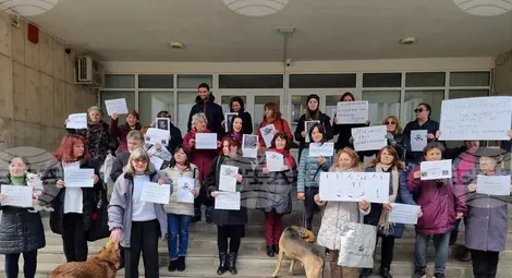 Снимка: БТА Снимка: БТА