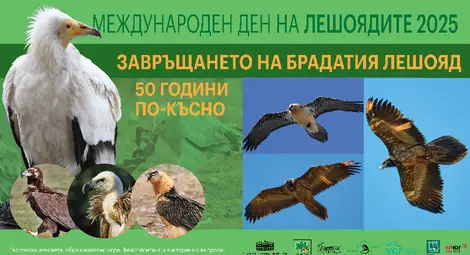 Русенският музей ще отбележи с богата програма Международния ден на лешоядите Русенският музей ще отбележи с богата програма Международния ден на лешоядите