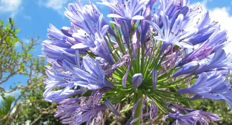 Прогноза за времето за 17 февруари 2014 г.