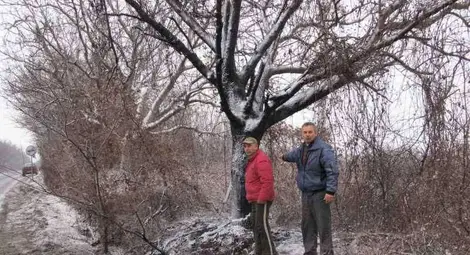 Тежка катастрофа взе живота на четирима младежи - подробности