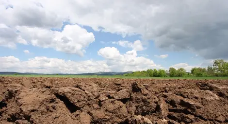 1400 лева стигна цената  на декар земя в Сливо поле