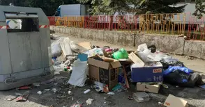 „Нелсен“ в битка с мощен конкурент за мегапоръчката за чистотата в Русе