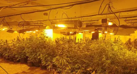 Задържаният за наркооранжерията в бомбоубежище вече има 9 присъди