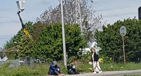 Булка стопаджийка край Русе развълнува Фейсбук