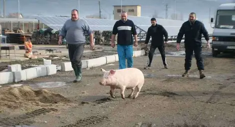 Коледа по хайдушки /галерия/