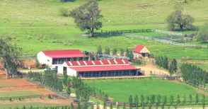 Завишават субсидиите за  ферми с до 300 декара земя