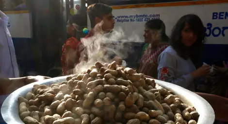 Любимите полезни ядки