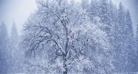 Прогноза за времето за 7 януари 2013 г.