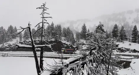 Сняг и дъжд причиниха хаос в Австрия