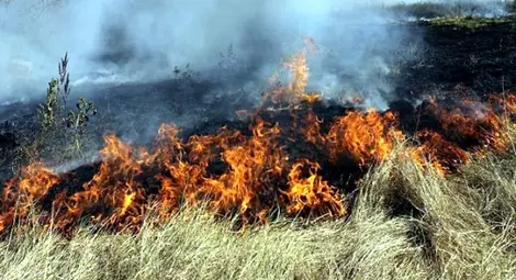 Петима цял месец палили пасища и поляни около Бъзовец