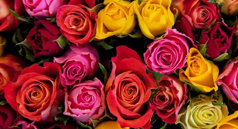 Колко си хубава!...