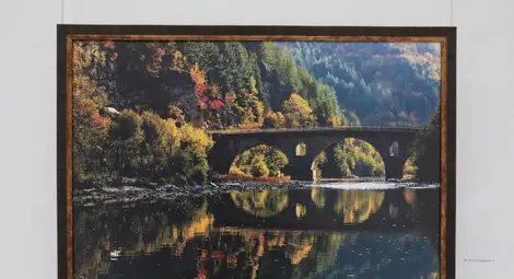 Иван Неделчев: Фотографията през целия живот ми е помагала да оцелявам