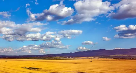 Появиха се мистериозни житни кръгове край София (ВИДЕО) Появиха се мистериозни житни кръгове край София (ВИДЕО)