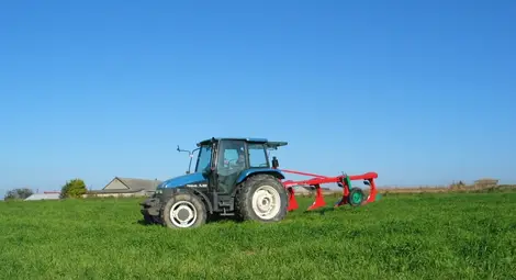 Намалява търсенето на маломерни ниви