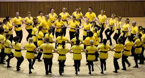 В &bdquo;Чанове&ldquo; учат сръбско коло,  румънски калуш и гръцко сиртаки