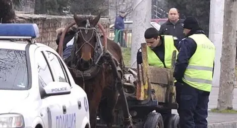 Изпуснат от пиян каруцар кон се блъсна в кола на пътя Русе-Бяла