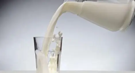 Учени разбиха мита, че млякото заздравява костите
