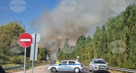 Снимка: БТА