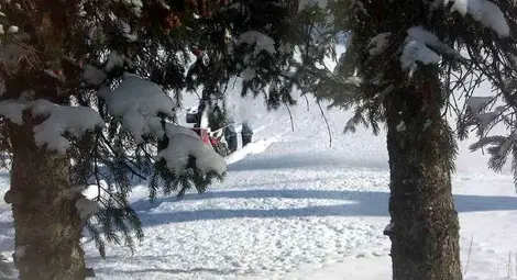 Прогноза за времето за 5 декември 2012 г.