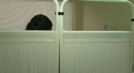 14-годишната родилка: Няма да уча, ще си гледам детето със 150 лева