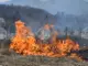 Пожарите в сухи треви в Монтанско зачестяват със затоплянето на времето