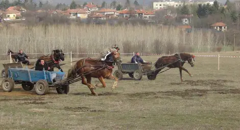 Кушии за Тодоров ден огласиха местността Бог баир край Ценово (галерия)