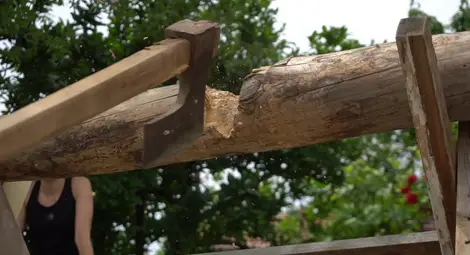 Две дузини смели мъже и жени правят русенски &bdquo;Сървайвар&ldquo; и &bdquo;Фермата&ldquo;