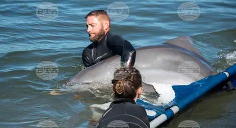 Снимка: БТА