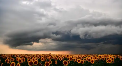 Гръмотевични бури и значителни валежи в следващите дни