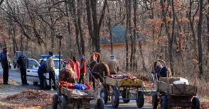 Девет бракониери се разделиха с 8 каруци заради 10 кубика дърва