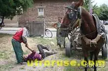 Кон отмъсти на собственика си за побой Кон отмъсти на собственика си за побой