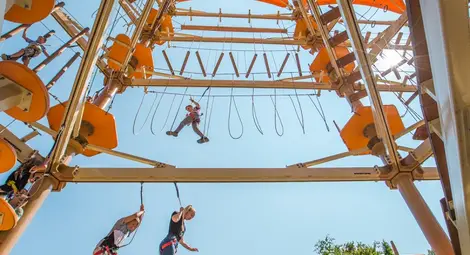 &ldquo;Въжената градина&ldquo; и &bdquo;Дървото&ldquo; са двата атракциона, които &bdquo;Уолтопия&ldquo; ще изгради в две общини.            Снимка: &bdquo;Уолтопия&ldquo;