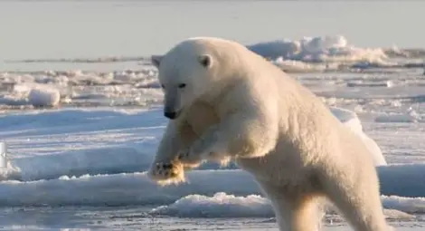 Всяка година Русия губи територии колкото осем държави Сан Марино