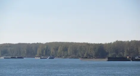 Десетки кораби и секции чакат на котва по-дълбока вода в Дунав