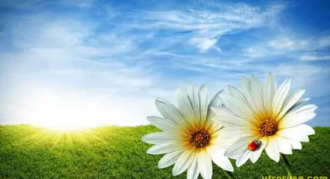 Прогноза за времето за 28 април 2013 година