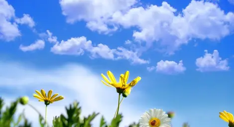 Слънчева неделя и температури до 24&deg;