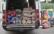 Генно-модифицираните ябълки и картофи признати за безопасни в САЩ