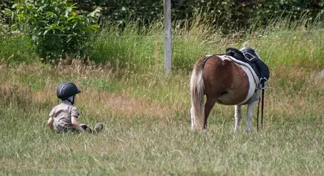 Деца борят аутизма с езда